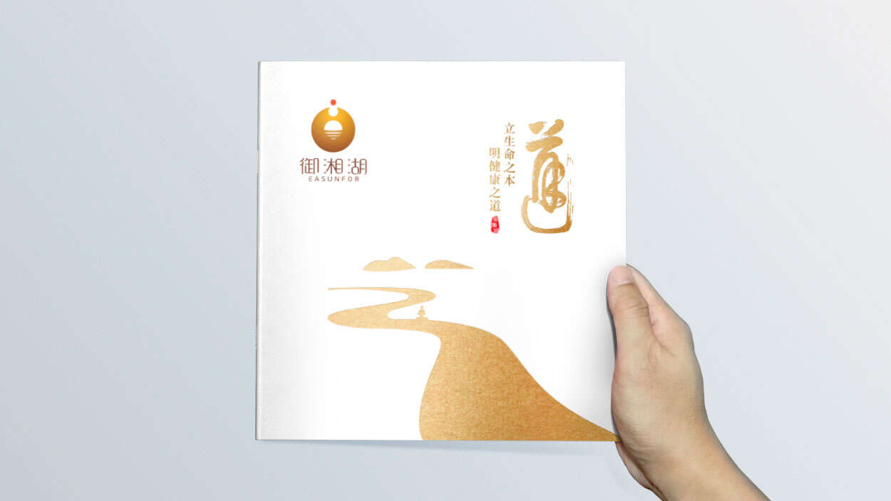 產業園宣傳冊設計|招商畫冊設計-湘湖健康產業園樣本冊設計